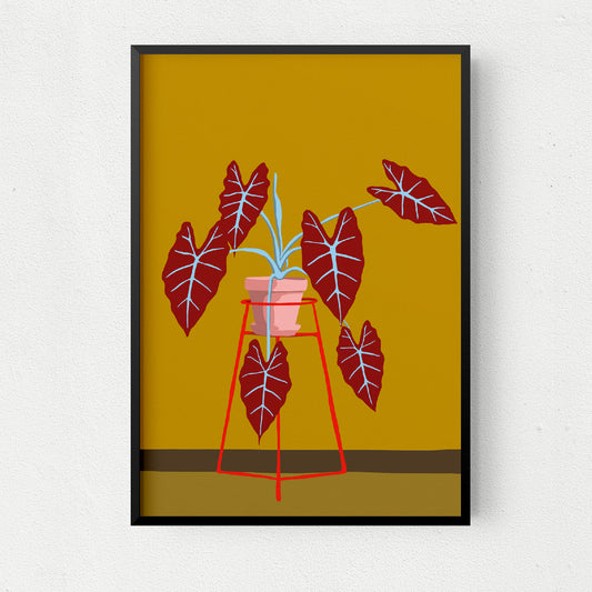 Alocasia Frydek Art Print
