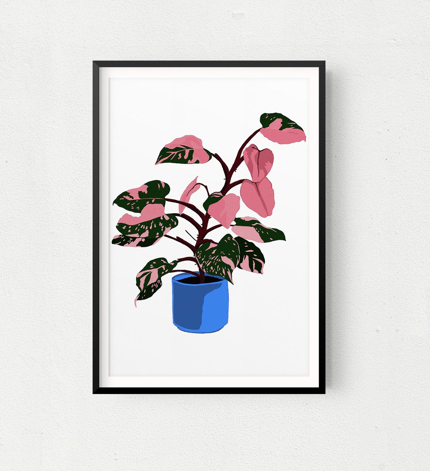 Philodendron Pink Princess