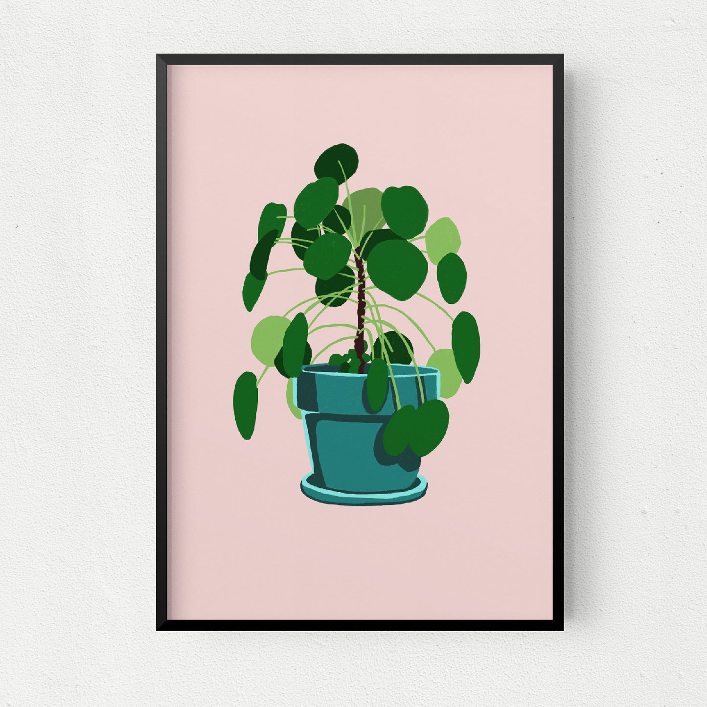 Pilea Peperomioides Art Print