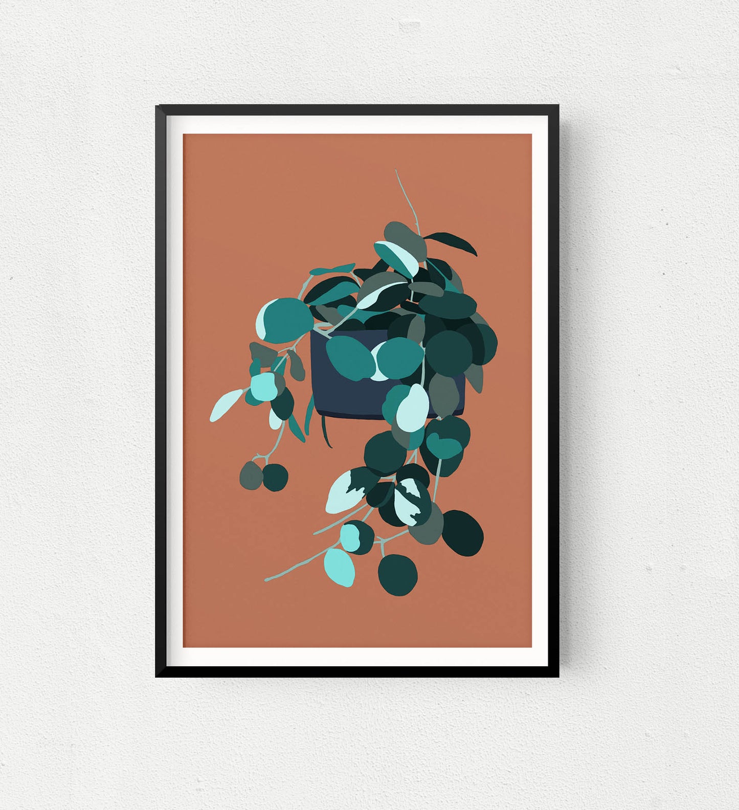 Hoya Obovata - Art Print