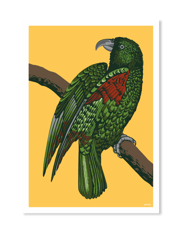 Kea Yellow Art Prints