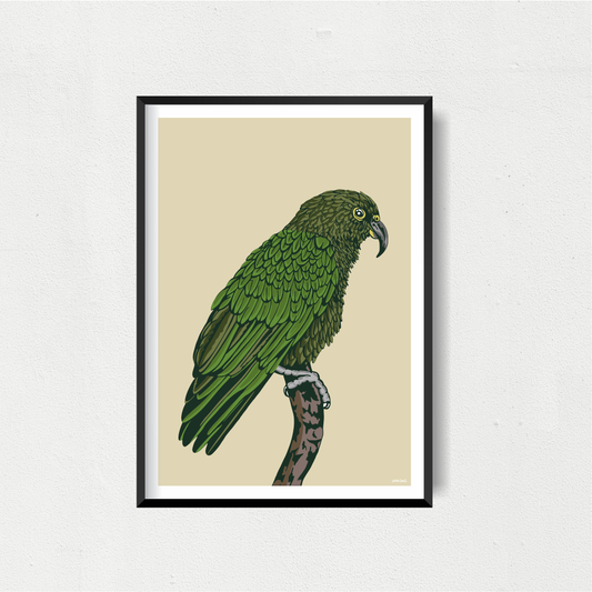 Kea 2 Art Print