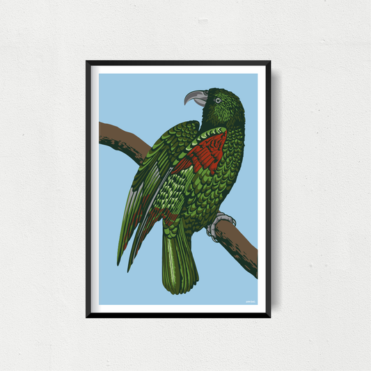 Kea Blue Art Print