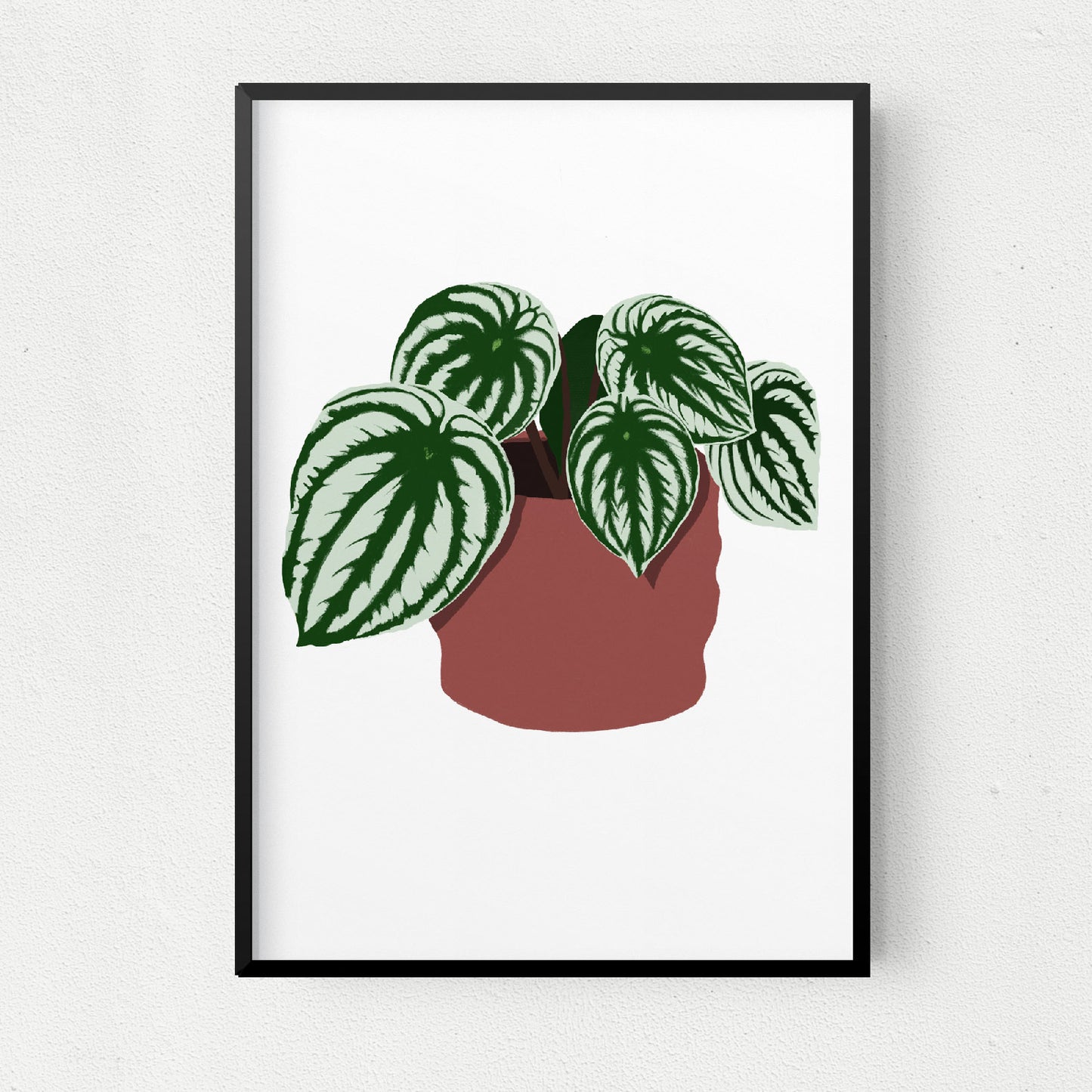 Watermelon Peperomia Art Print
