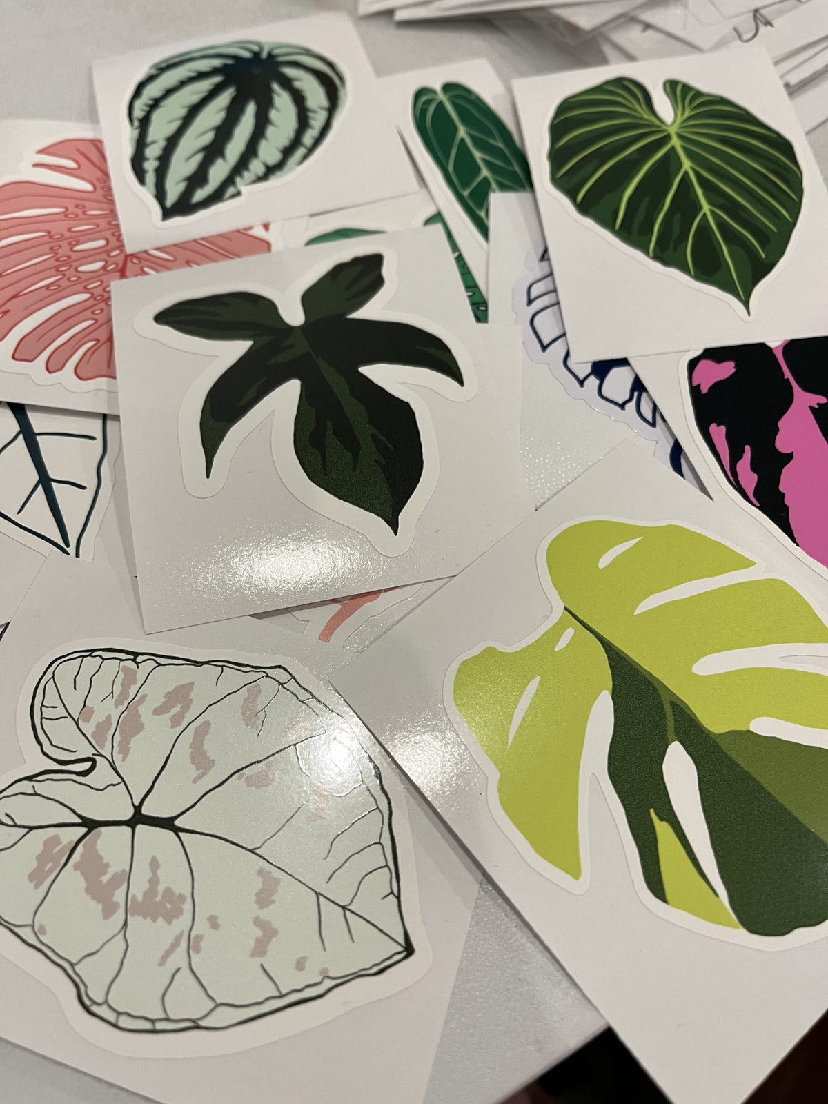 Sticker Pack - Leaves