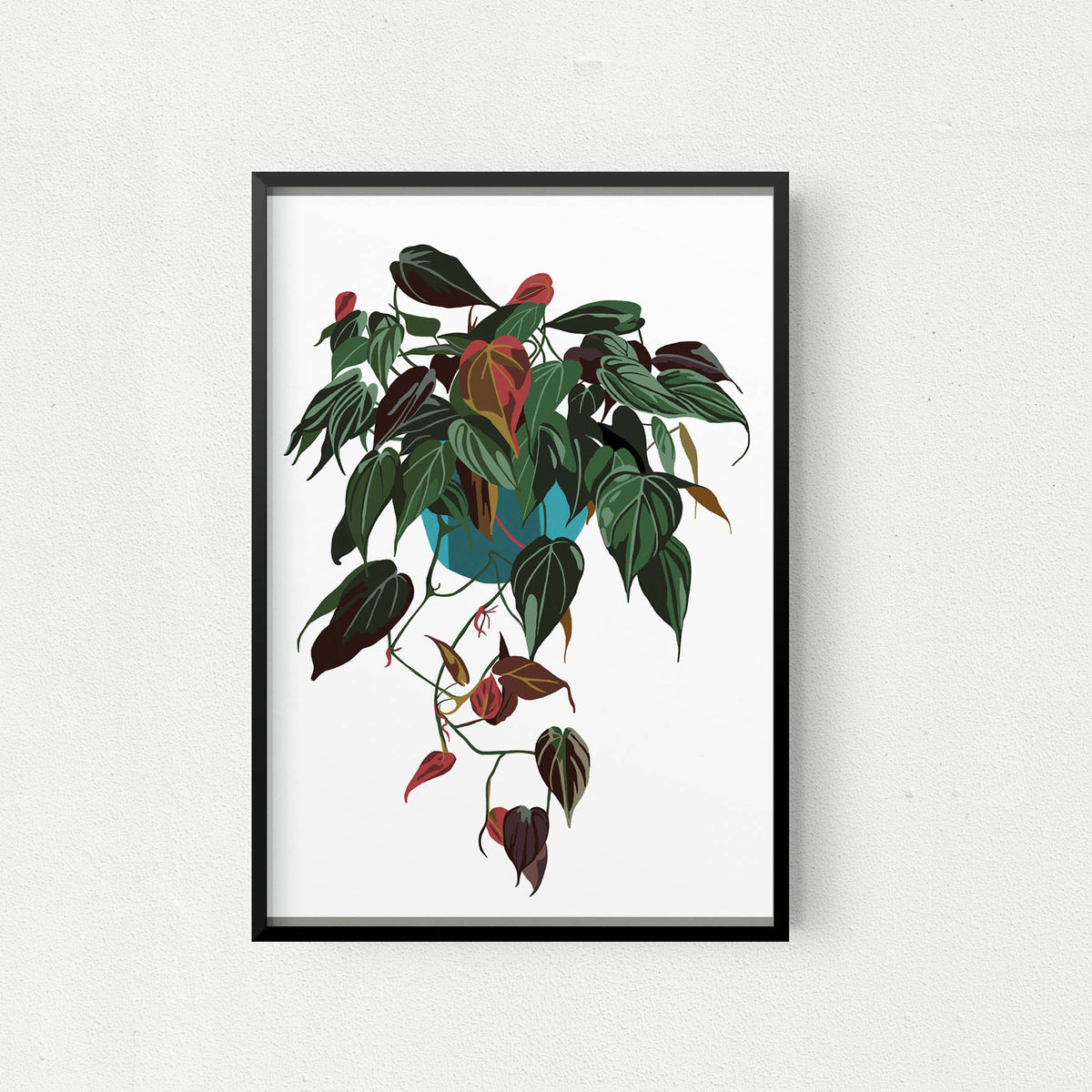 Philodendron Micans Art Print