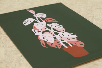 Monstera Adansonii Art Print