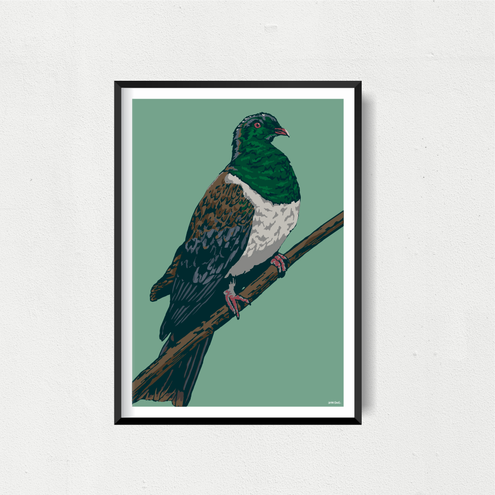 NZ Wood Pigeon Art Print - Green