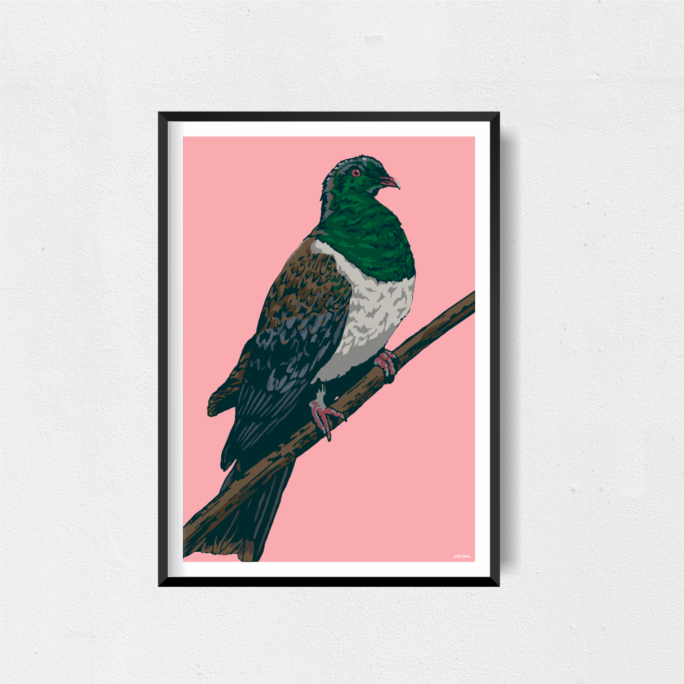 NZ Wood Pigeon Art Print - Pink