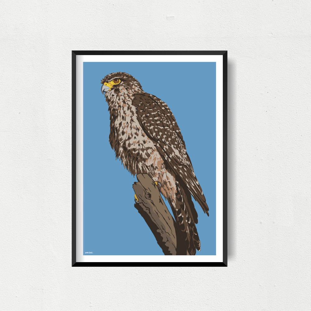 NZ Falcon Art Print - Blue