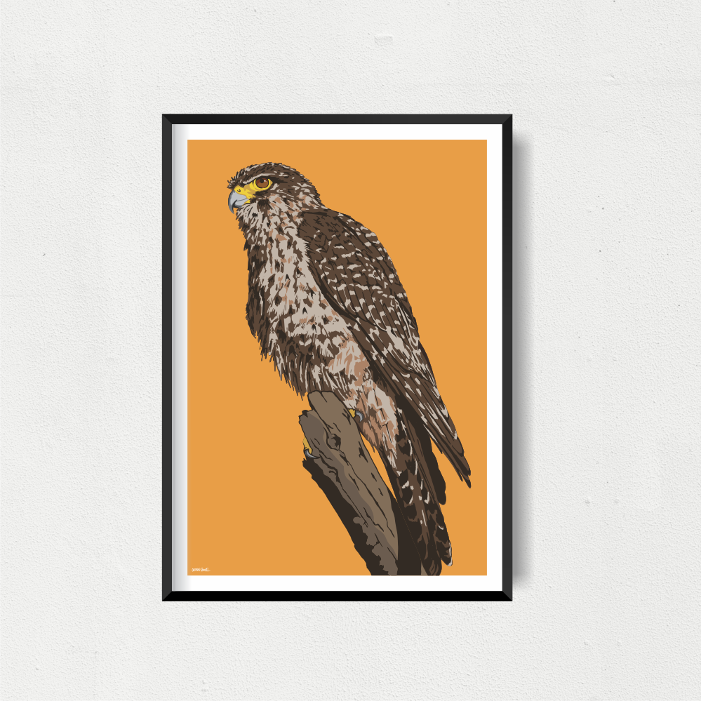 NZ Falcon Art Print - Orange