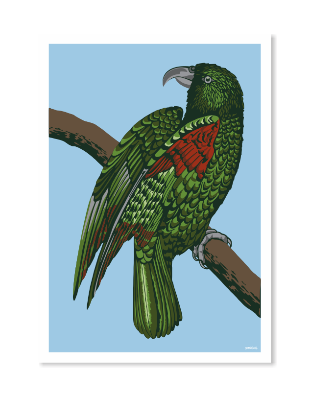 Kea Blue Art Print