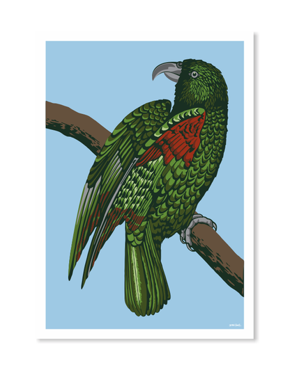 Kea Blue Art Print